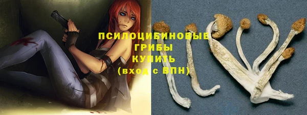 не бодяженный Инта