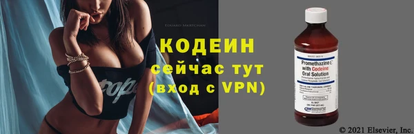 индика Медвежьегорск