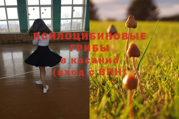 гашиш Инсар