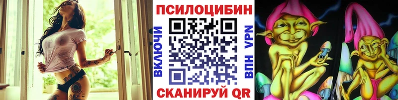 Псилоцибиновые грибы мицелий  закладка  Инта 